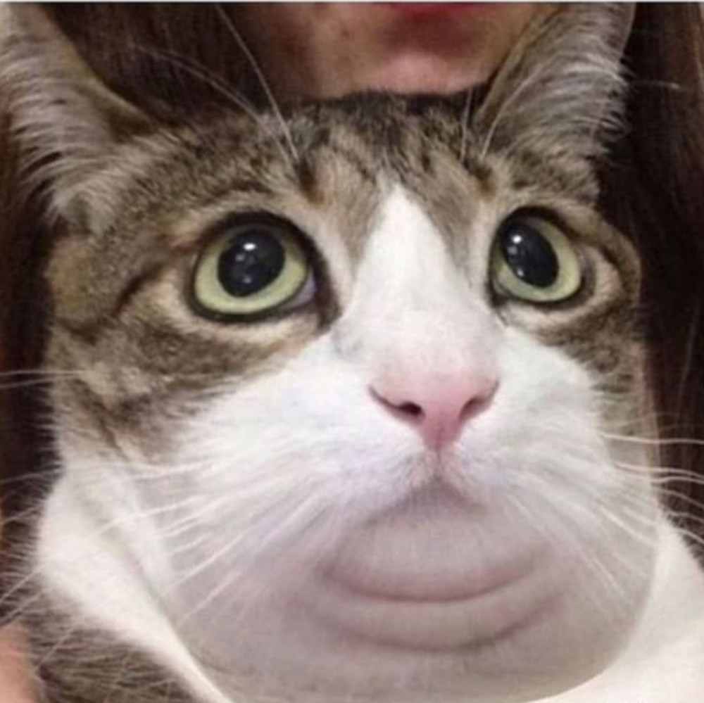 Meet your Posher, Valeriya